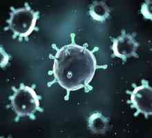 Jak odlišit otrava rotaviry? příznaky nemoci