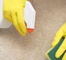 Jak čistit koberec doma? Velmi jednoduché!