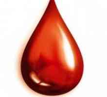Jak se krevní skupinu. Nejběžnějším typem krevní ve světě