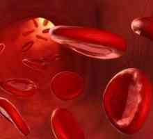 Jak zvýšit hemoglobin v domácnosti: nejúčinnější metody