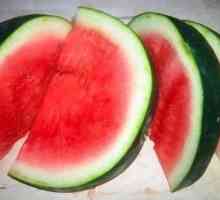 Jak snížit meloun a jak jíst?