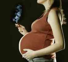 Stejně jako během těhotenství přestat kouřit? Je možné kouřit během těhotenství?