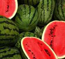 Jak vařit solené meloun? konzervace recept barel