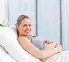 Jak porodit chlapce - teoretický návod pro nastávající matka