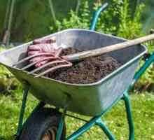 Jak vyrobit kompost vlastníma rukama?