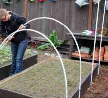 Jak vyrobit mini-skleníku sazenice. Jaký by měl být skleníkových pro semenáčky