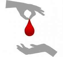 Jak se stát dárcem krve? To, co potřebujete, aby se stal dárcem krve? Kteří nemohou darovat krev?