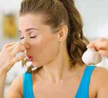 Jak odstranit pach česnekového dechu: nejúčinnějších způsobů, které vás nezklame