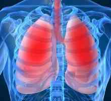 Jak jsou lehké a jak dýchání proces?