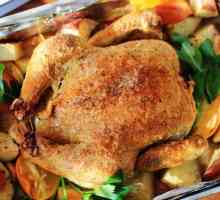 Jak lahodný vařit kuře v multivarka?
