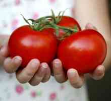 Как вырастить хороший урожай помидоров в теплице, в открытом грунте?
