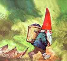 Jak volat do gnome-formát? Existuje několik způsobů, jak!