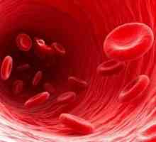 Jak je připojeno krevní skupiny dětí a rodičů? Pravidla přenosu dědičných