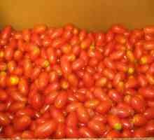 Jak zavřít pro zimní rajčat do hroznů?