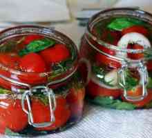 Jak rychle marinovat rajčata? Nakládaná rajčata: recepty