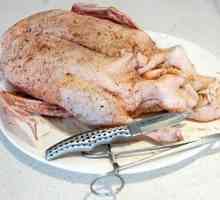 Jak marinovat kachnu na pečení? Pokyny o tom, jak marinovat a chutné kachna na pečení v troubě