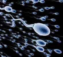 Jaká by měla být spermie, a jaké jsou faktory, které negativně ovlivňují ji