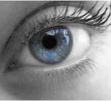 Co je potřeba gymnastiku pro oči, jak zlepšit zrak