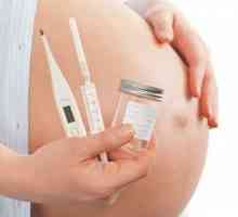 Jaké testy přihrávku během těhotenství