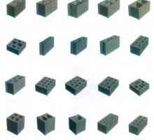 Které bloky jsou lepší pro stavbu rodinného domu? Stavební bloky: Charakteristika