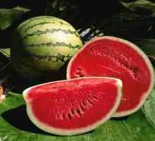 Co vitamíny v melounu a jak ovlivňují vaše zdraví? Chemické složení meloun, kalorie, nutriční…