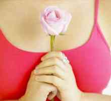 Co je hlavním příznakem rakoviny prsu nemůže chybět?
