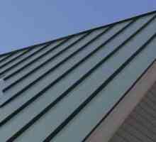 Jaký je nejlepší materiál pro střechy na střechu. Jak si vybrat materiál pro střešní střeše