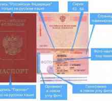 Jak dlouho trvá výroba pasu? Termín výroby pasu nového a starého vzorku