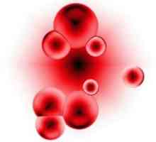 Jaká je míra bilirubinu v krvi žen a mužů?
