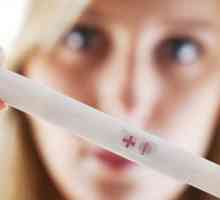 Jaké jsou šance na otěhotnění na první pokus? Když vysoká pravděpodobnost otěhotnění?