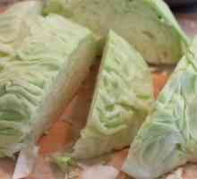 Zelí Guria: jednoduchý recept lahodné salátu v různých verzích