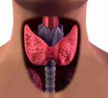 Klinické projevy a léčba autoimunitní thyroiditis