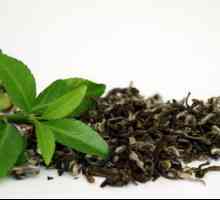Kdo je kontraindikován v zeleném čaji? Zelený čaj: výhody a škody