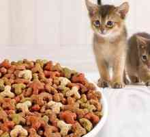 Krmivo pro prémiové kočky. Rating krmivo