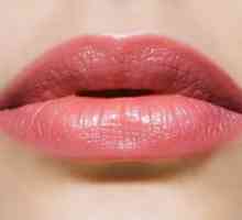 Lip Correction: chiloplasty a Plastická operace