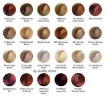 Barvivo vlasy „brilians“: paleta pro každého