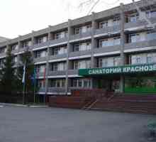 „Krasnozersky“ sanatorium regionu Novosibirsku. sanatoria Novosibirsk