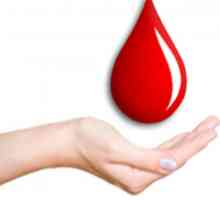 Krev během ovulace - důvody. Přidělení během ovulace s krví