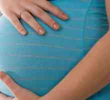 Velký plod během těhotenství: znaky a jeho dodávka proces