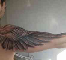 Křídla na rameni: tetování, které se hodí všem