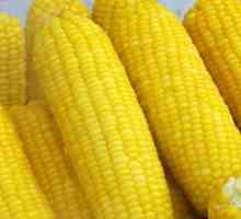 Kukuřice ve dvoulůžkovém kotle: vaření tajemství