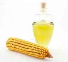Kukuřičný olej: Vlasy a to nejen