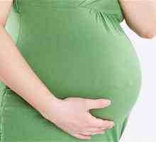 Zelí v těhotenství: to radí lékař?