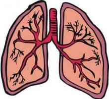 Léčba bronchitida a jeho symptomy
