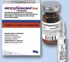Medicine "Ksefokam" (injekce): Návod k použití, indikace, kontraindikace