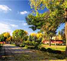 Lipetsk: Lower Park. Historie a popis objektu