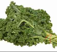 Kale. pěstování zelí