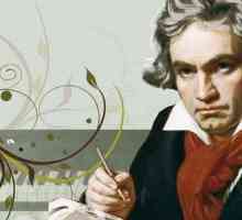 Ludwig van Beethoven práce