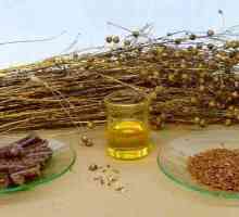 Lněný olej. Užitečné vlastnosti rostlinného produktu a kontraindikace