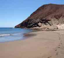 Nejlepších pláží Tenerife - co jsou zač?